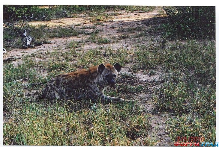 туристический форум