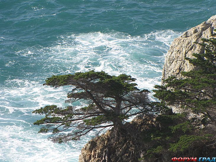 туристический форум