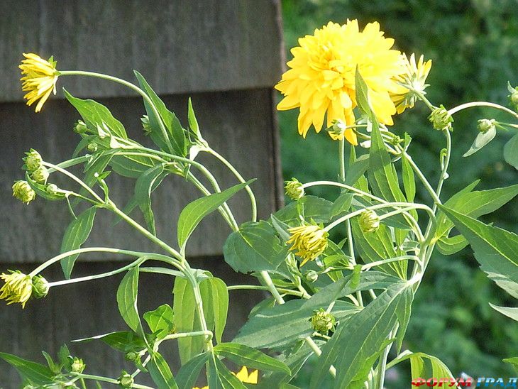 туристический форум