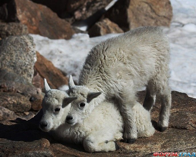 туристический форум