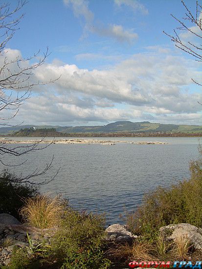 туристический форум