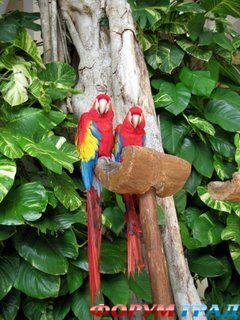 туристический форум