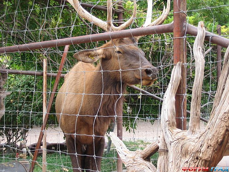 туристический форум
