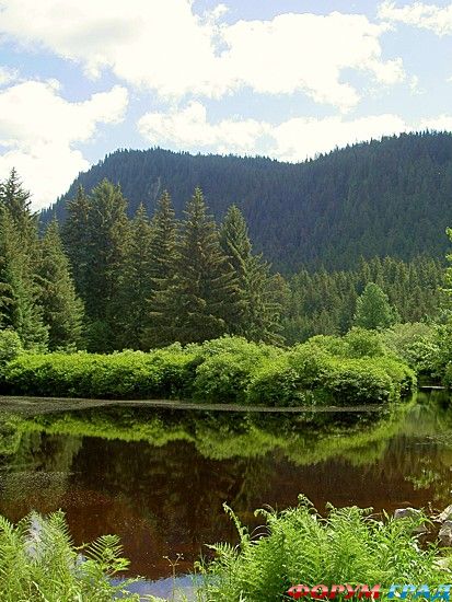 туристический форум