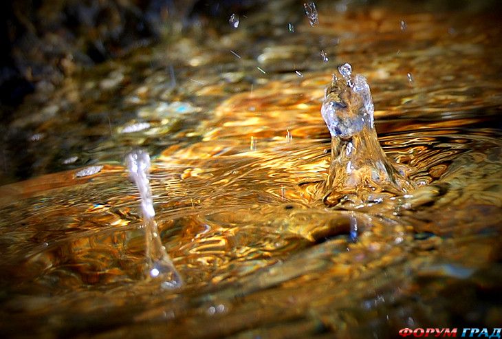 туристический форум