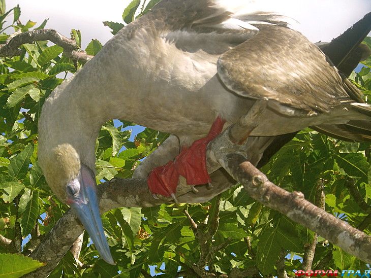 туристический форум