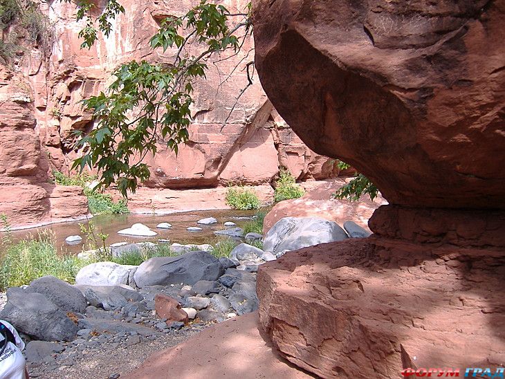 туристический форум