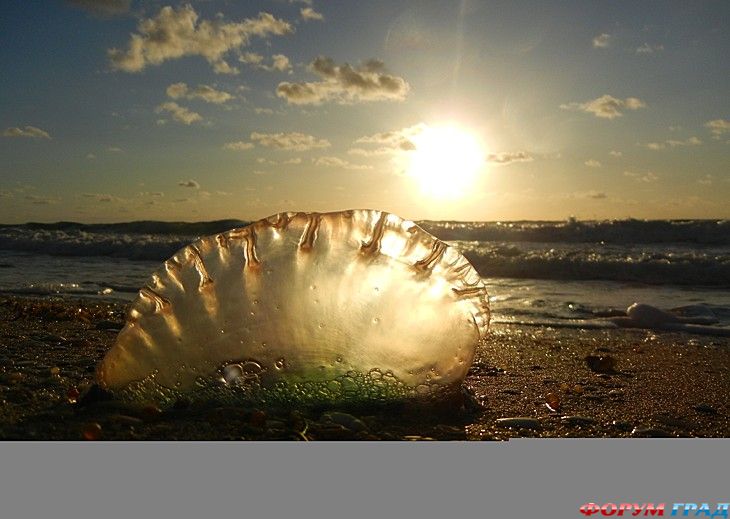 туристический форум