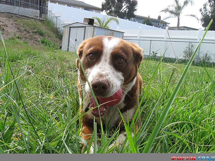 туристический форум