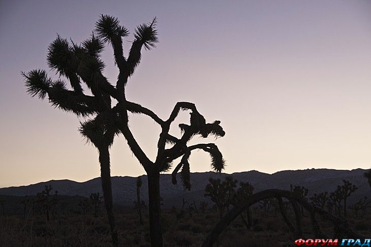 туристический форум