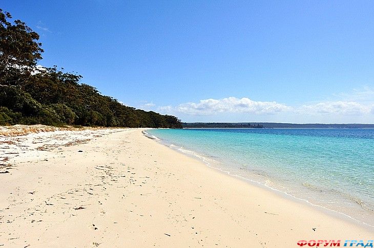 туристический форум