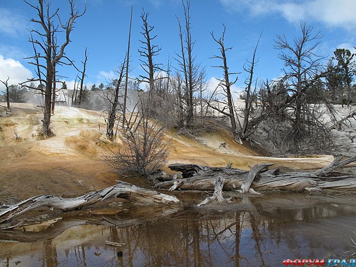 туристический форум