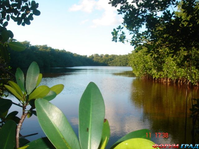 туристический форум