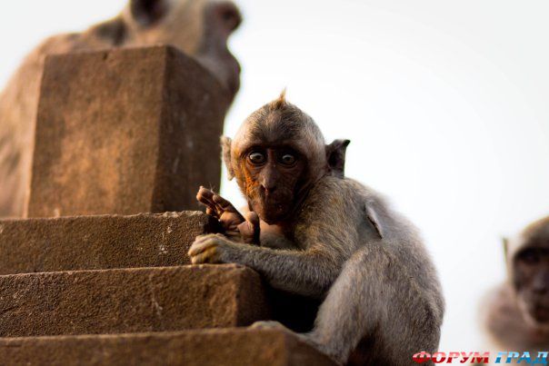 туристический форум