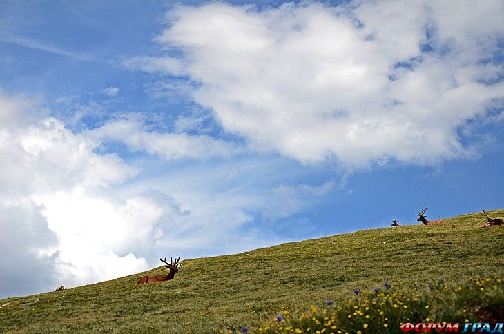 туристический форум