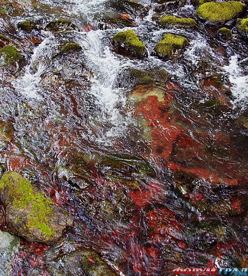 туристический форум