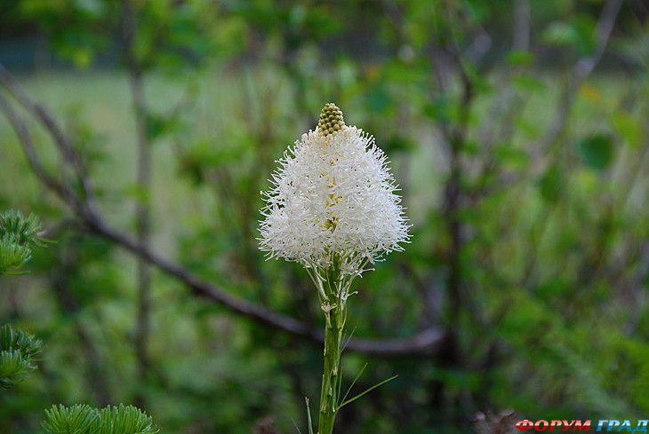 туристический форум