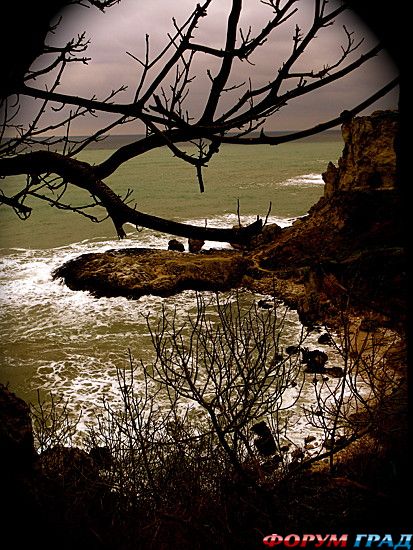 туристический форум