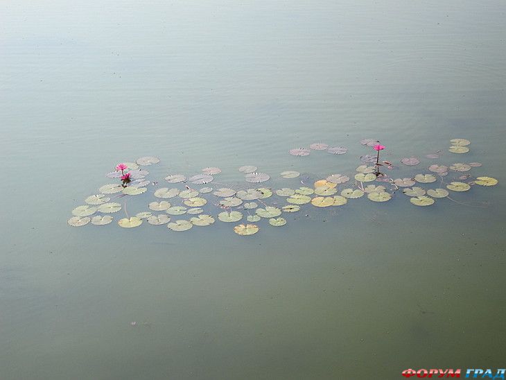 туристический форум