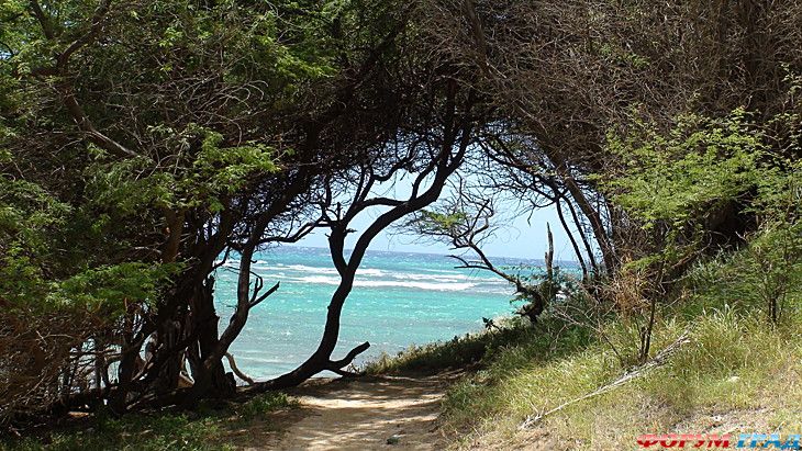 туристический форум