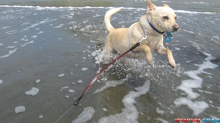 туристический форум