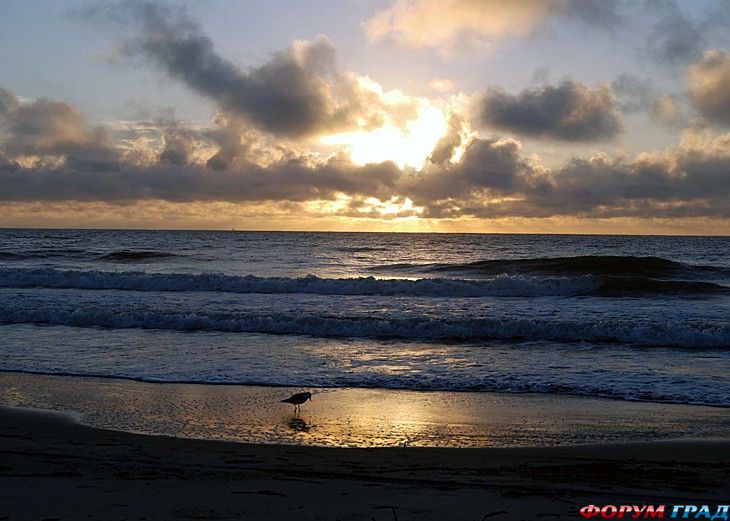 туристический форум