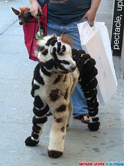 туристический форум