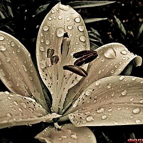 туристический форум