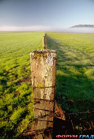 туристический форум