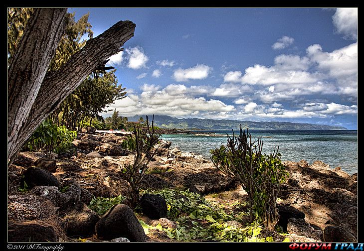 туристический форум