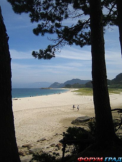 туристический форум