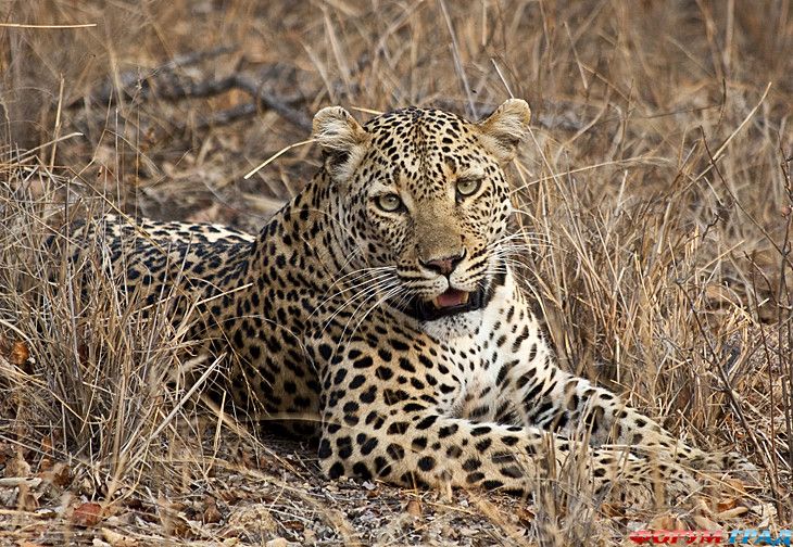 туристический форум