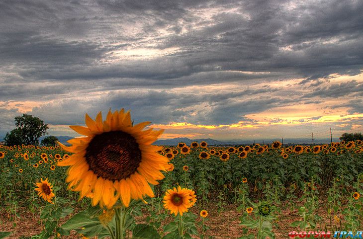 туристический форум