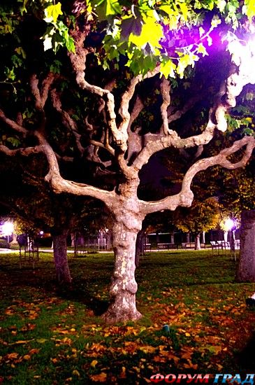 туристический форум