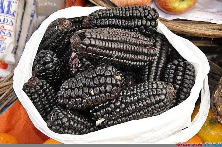 туристический форум