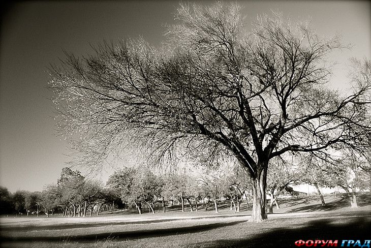 туристический форум