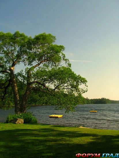 туристический форум