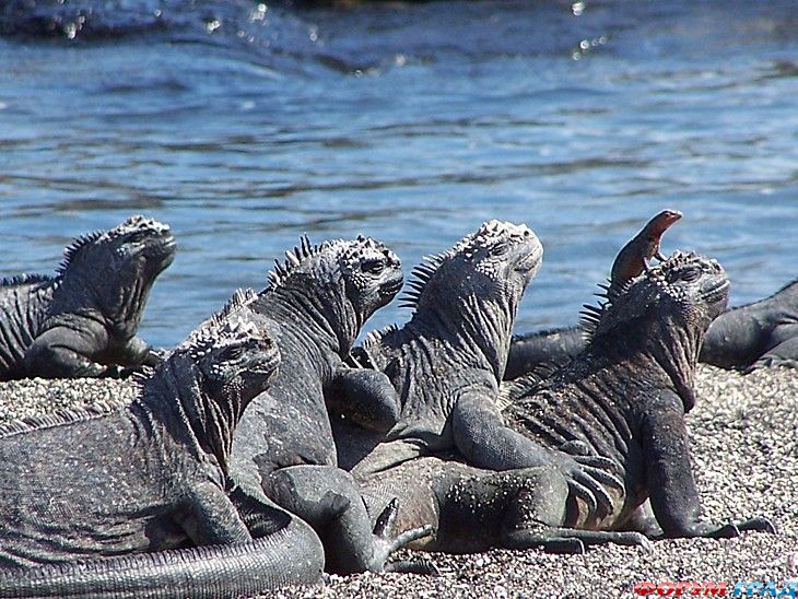 туристический форум