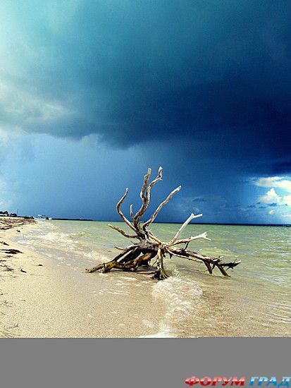 туристический форум