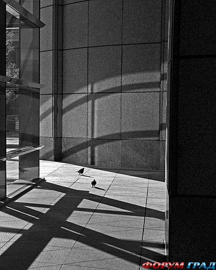 туристический форум