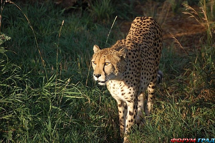 туристический форум