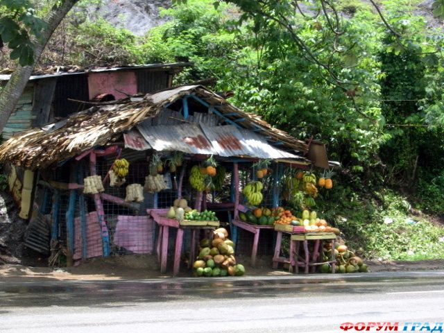 туристический форум
