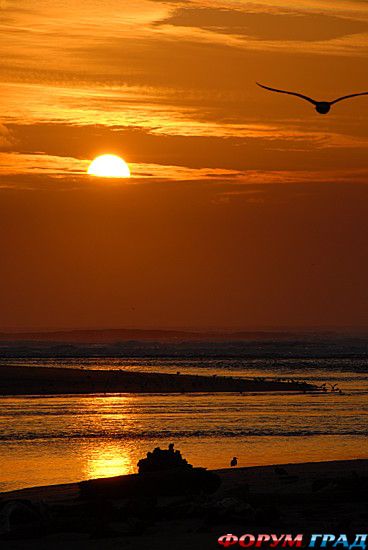 туристический форум