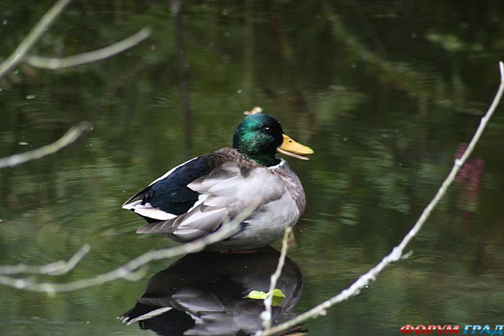туристический форум