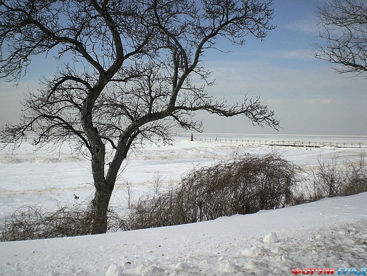туристический форум