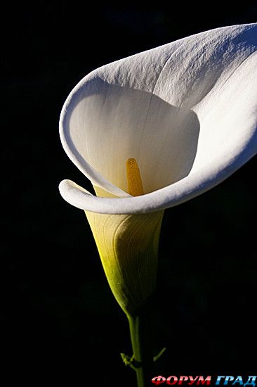 туристический форум