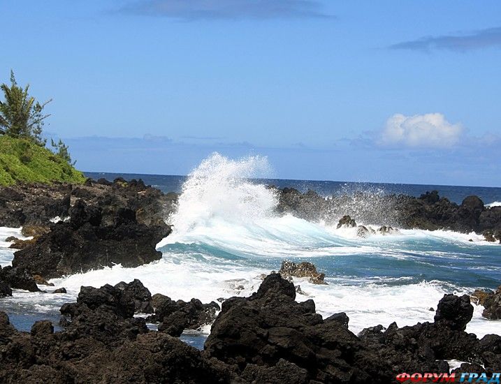 туристический форум