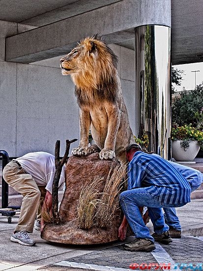 туристический форум
