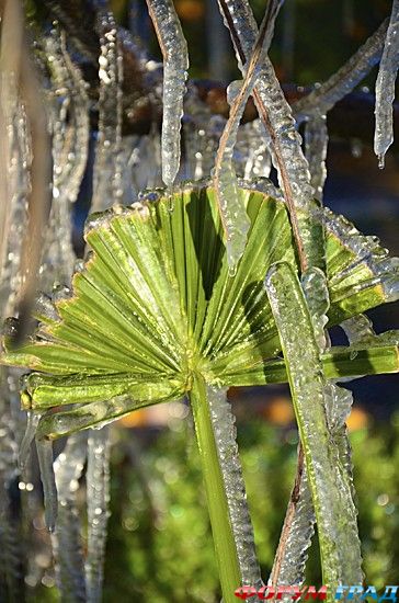 туристический форум