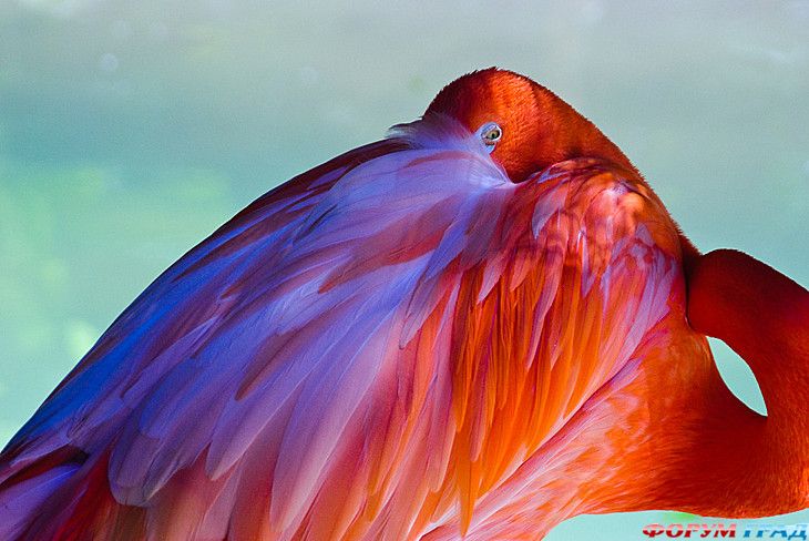 туристический форум